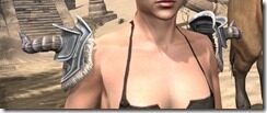 Huntsman-Iron-Pauldrons-Female-Front_thumb.jpg