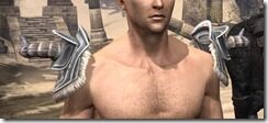 Huntsman-Iron-Pauldrons-Male-Front_thumb.jpg