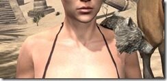 Silver-Dawn-Iron-Pauldron-Female-Front_thumb.jpg