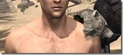 Silver-Dawn-Iron-Pauldron-Male-Front_thumb.jpg
