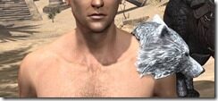 Silver-Dawn-Rawhide-Arm-Cops-Male-Front_thumb.jpg