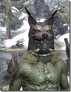 Balorgh-Argonian-Male-Front_thumb.jpg