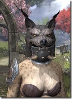 Balorgh-Khajiit-Female-Front_thumb.jpg