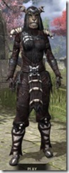 Briarheart-Khajiit-Female-Front_thumb.jpg
