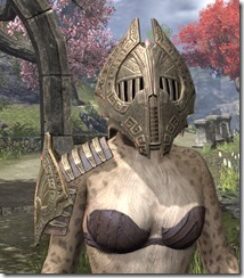 Engine-Guardian-Khajiit-Female-Front_thumb.jpg