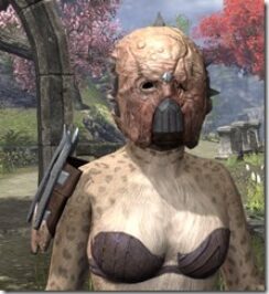 Grothdarr-Khajiit-Female-Front_thumb.jpg