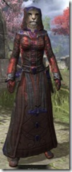 Overwhelming-Surge-Khajiit-Female-Robe-Front_thumb.jpg