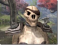 Pirate-Skeleton-Khajiit-Female-Front_thumb.jpg