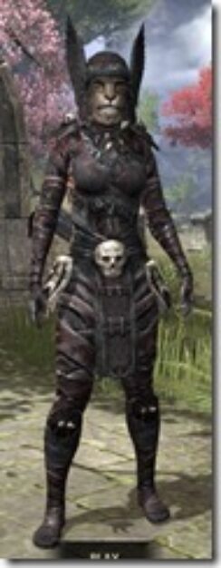 Reach-Winter-Light-Khajiit-Female-Shirt-Front_thumb.jpg