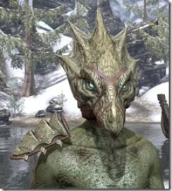 Shadowrend-Argonian-Male-Front_thumb.jpg