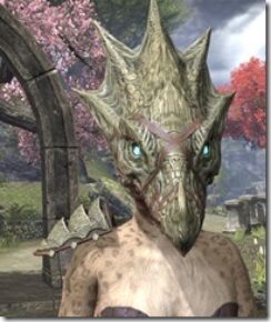 Shadowrend-Khajiit-Female-Front_thumb.jpg
