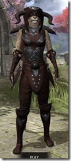 Skinchanger-Medium-Khajiit-Female-Front_thumb.jpg