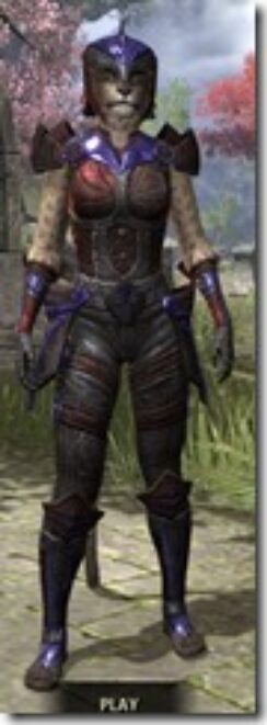 Storm-Master-Khajiit-Female-Front_thumb.jpg