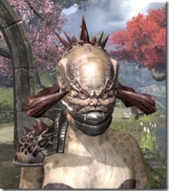Velidreth-Khajiit-Female-Front_thumb.jpg