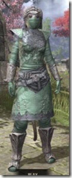 Ashlander-Homespun-Khajiit-Female-Shirt-Front_thumb.jpg