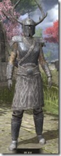Bloodforge-Iron-Khajiit-Female-Front_thumb.jpg