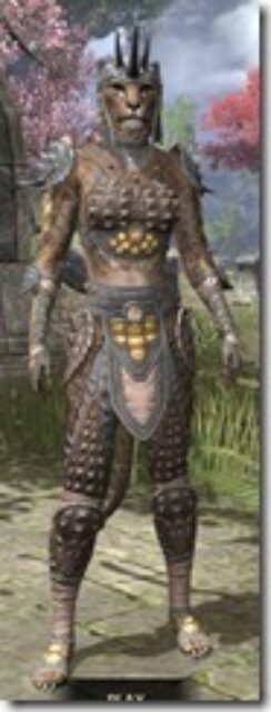 Dead-Water-Rawhide-Khajiit-Female-Front_thumb.jpg