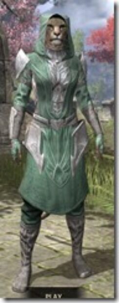 Ebonshadow-Homespun-Khajiit-Female-Robe-Front_thumb.jpg