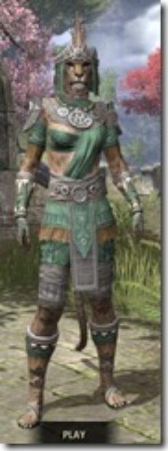 Elder-Argonian-Homespun-Khajiit-Female-Shirt-Front_thumb.jpg