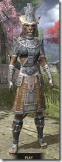 Elder-Argonian-Iron-Khajiit-Female-Front_thumb.jpg