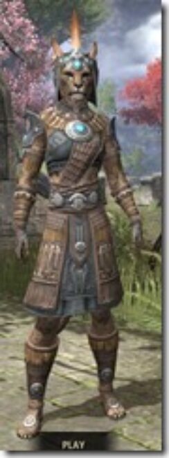 Elder-Argonian-Rawhide-Khajiit-Female-Front_thumb.jpg