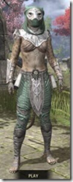 Fang-Lair-Homespun-Khajiit-Female-Shirt-Front_thumb.jpg
