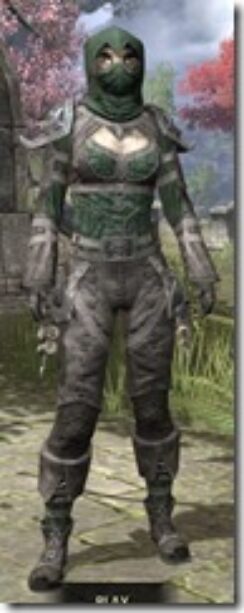 Grim-Harlequin-Homespun-Khajiit-Female-Shirt-Front_thumb.jpg