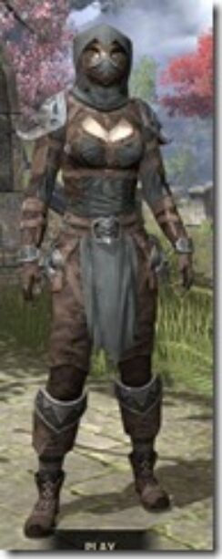 Grim-Harlequin-Rawhide-Khajiit-Female-Front_thumb.jpg