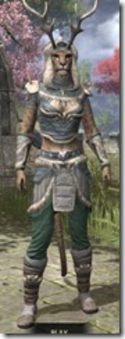 Huntsman-Homespun-Khajiit-Female-Shirt-Front_thumb.jpg