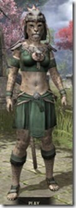 Mazzatun-Homespun-Khajiit-Female-Shirt-Front_thumb.jpg