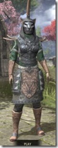 Militant-Ordinator-Homespun-Khajiit-Female-Shirt-Front_thumb.jpg