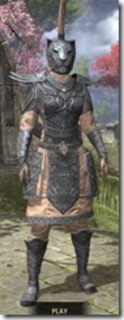 Militant-Ordinator-Rawhide-Khajiit-Female-Front_thumb.jpg