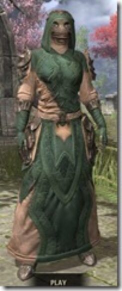 Morag-Tong-Homespun-Khajiit-Female-Robe-Front_thumb.jpg