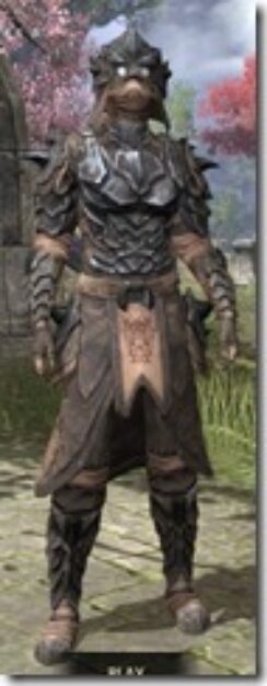 Morag-Tong-Rawhide-Khajiit-Female-Front_thumb.jpg