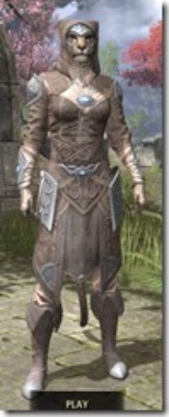Psijic-Order-Rawhide-Khajiit-Female-Front_thumb.jpg