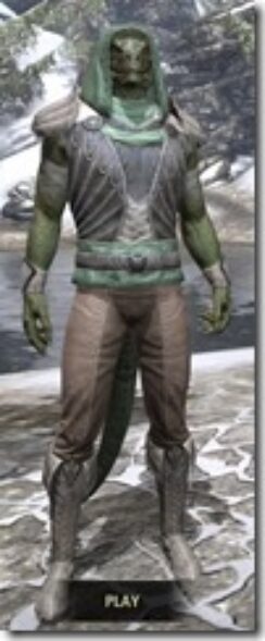 Pyandonean-Homespun-Argonian-Male-Shirt-Front_thumb.jpg