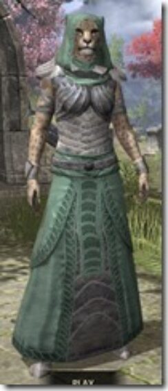Pyandonean-Homespun-Khajiit-Female-Robe-Front_thumb.jpg