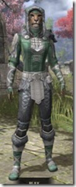Silver-Dawn-Homespun-Khajiit-Female-Shirt-Front_thumb.jpg
