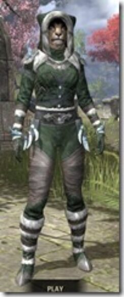 Stahlrim-Frostcaster-Homespun-Khajiit-Female-Shirt-Front_thumb.jpg
