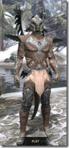Welkynar-Homespun-Argonian-Male-Shirt-Front_thumb.jpg