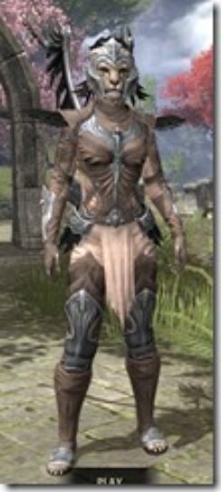 Welkynar-Homespun-Khajiit-Female-Shirt-Front_thumb.jpg
