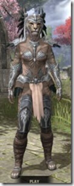 Welkynar-Rawhide-Khajiit-Female-Front_thumb.jpg