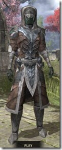 Worm-Cult-Homespun-Khajiit-Female-Robe-Front_thumb.jpg