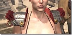 Abnur-Tharns-Epaulets-Female-Front_thumb.jpg