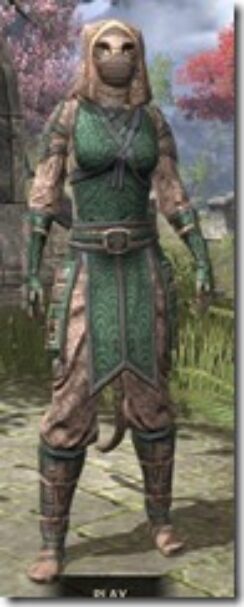 Akaviri-Homespun-Khajiit-Female-Shirt-Front_thumb.jpg