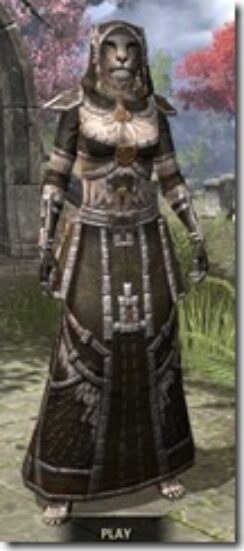 Argonian-Cotton-Khajiit-Female-Robe-Front_thumb.jpg