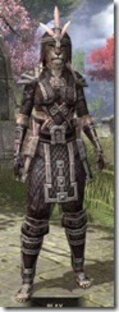 Argonian-Full-Leather-Khajiit-Female-Front_thumb.jpg