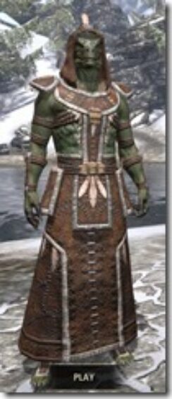Argonian-Homespun-Argonian-Male-Robe-Front_thumb.jpg