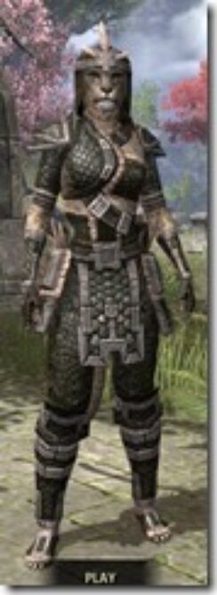 Argonian-Leather-Khajiit-Female-Front_thumb.jpg