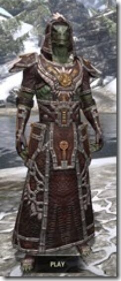 Argonian-Spidersilk-Argonian-Male-Robe-Front_thumb.jpg